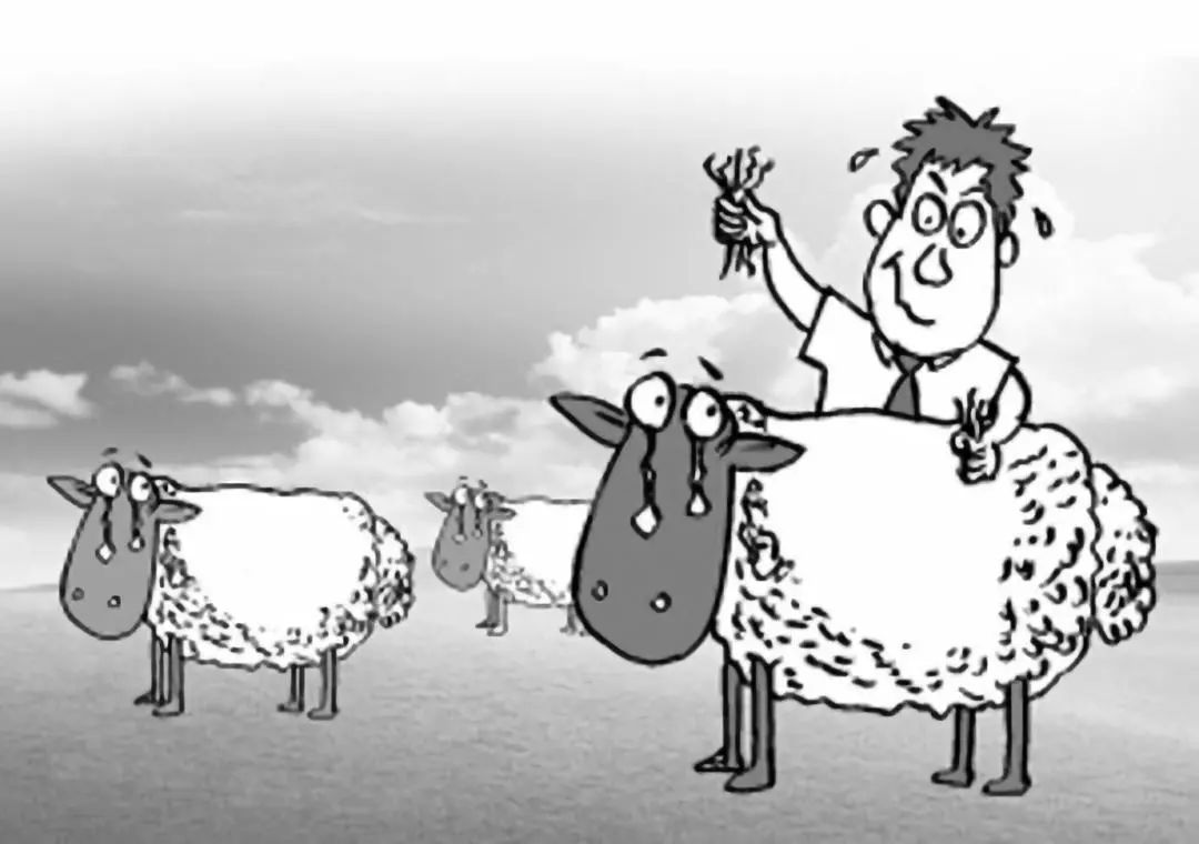干货丨从羊毛党看一个成功的裂变活动，到底需要哪些条件？