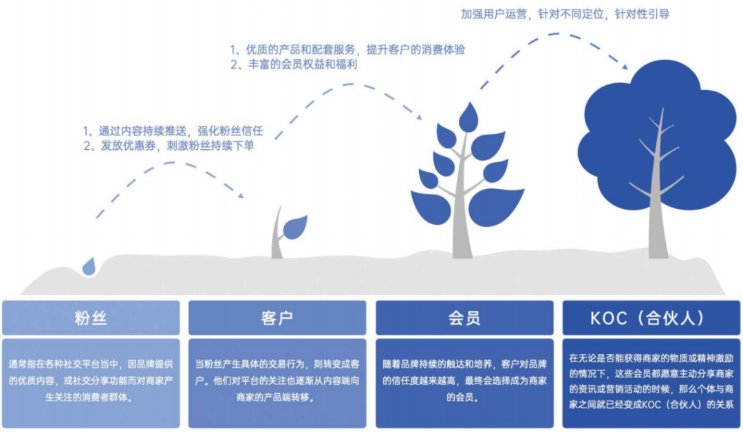 成为破解品牌增长焦虑的解药，私域经营到底改变了什么？