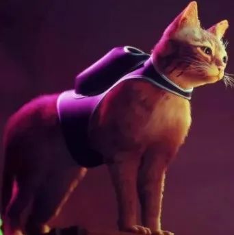 这支团队用三只猫，做出了Steam玩家最期待的游戏