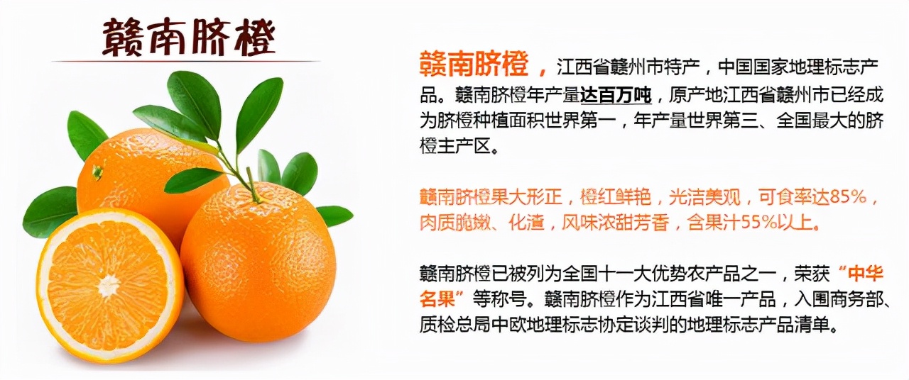 解析互联网技术打造乡村振兴扶贫助农电商平台,预售新商业模式