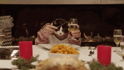 400_225gif 动态图 动图
