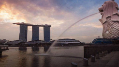 新加坡PE，亏了390亿