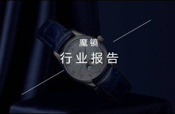 22年服饰鞋靴市场深度报告—腕表箱包篇