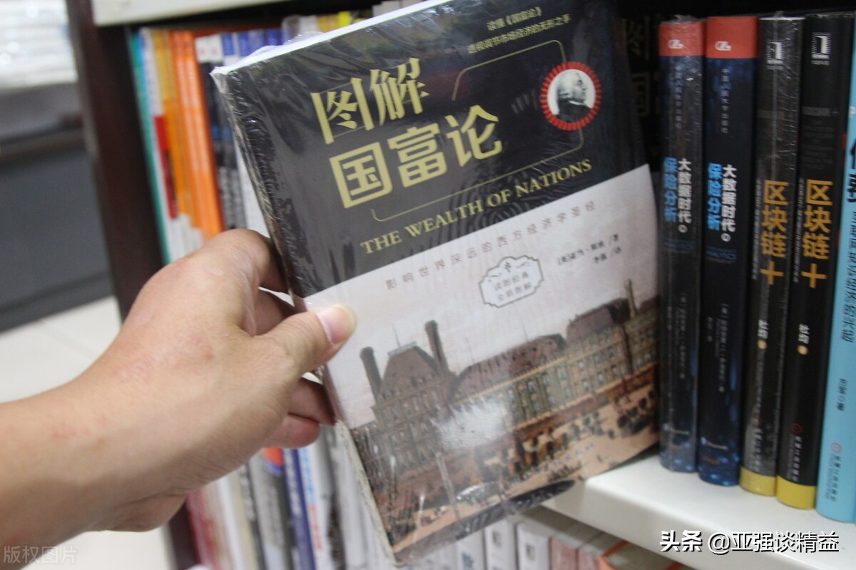 什么是专业化分工原则?深度揭秘