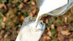 雅士利退市后，蒙牛如何“拯救”奶粉业务？
